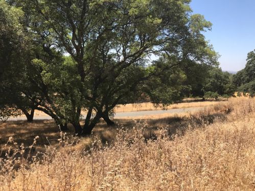 2040 Grn Spg Rd, Folsom CA 95762-9722 exterior