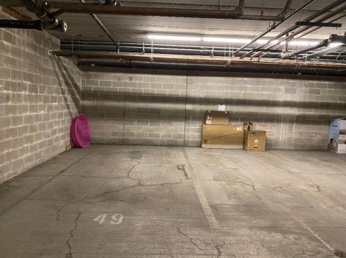 2322 Canal St, Chicago IL 60616-2020 exterior