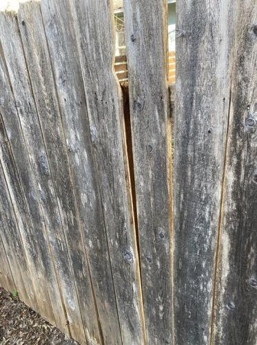 2404 13th St, Austin TX  78702-1808 exterior