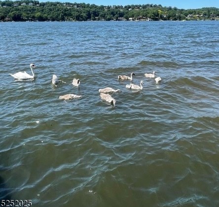 172 Shore Trl, Sparta NJ  07871-2107 exterior