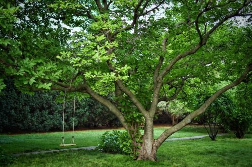 6343 Legett Ave, Chicago IL 60646-4231 exterior