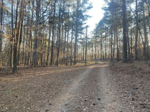 6419 Rockland Rd, Lithonia, GA 30038-3437