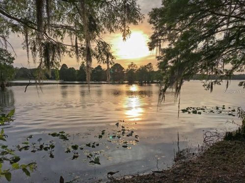 527 Broxburn Ave, Tampa FL  33617-7823 exterior