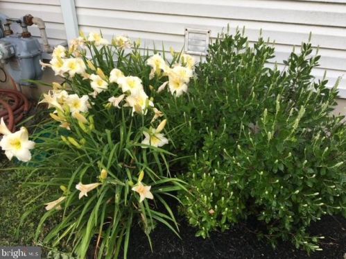 50 Steeplechase Cir, Chester PA 19014-1463 exterior