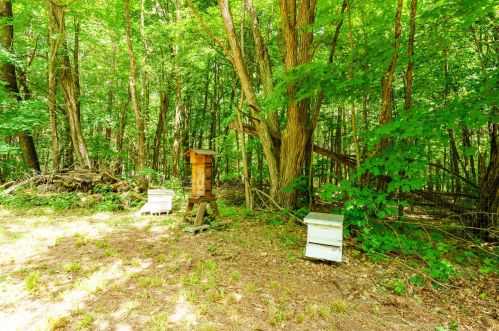 4624 1 St, Kalamazoo MI 49009-7943 exterior