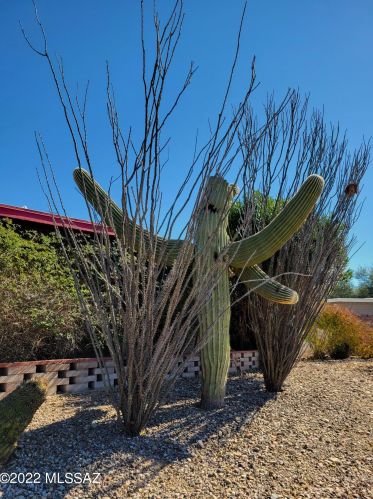 7132 Brk Dr, Tucson AZ 85730-1706 exterior