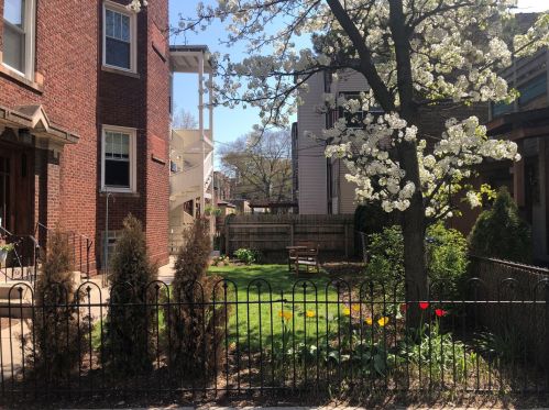 6211 Greenview Ave, Chicago IL  60660-1822 exterior