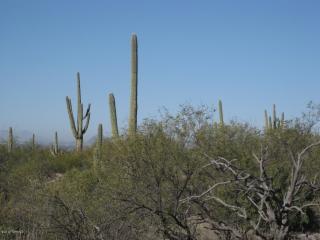 12708 Nighthawk Ranch Pl, Tucson AZ  85749-9080 exterior