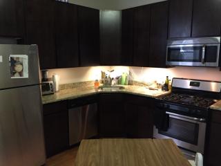 1744 18th St, Chicago IL  60608-2093 exterior