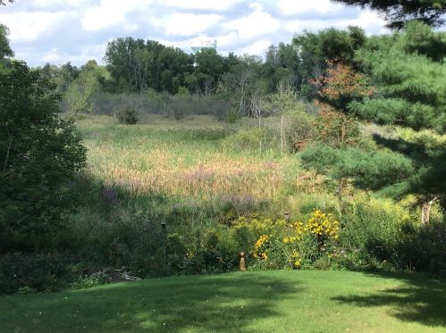 415 Brk Ave, Saint Paul MN 55109-2014 exterior