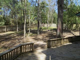 62 Wilde Yaupon Ct, Spring TX  77381 exterior