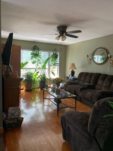 3417 Lombard Ave, Chicago IL 60804-4129 exterior