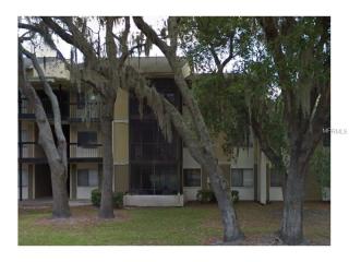 13403 Arbor Pointe Cir, Tampa, FL 33617-1159