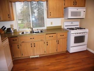 6623 Forest Glen Ave, Cleveland OH  44139-4025 exterior