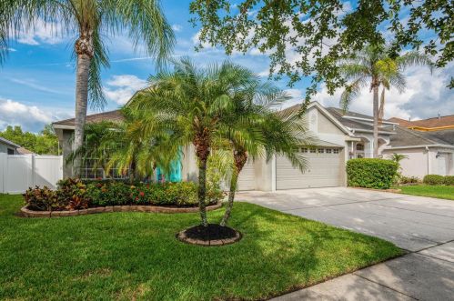 12038 Mountbatten Dr, Tampa, FL 33626-1312