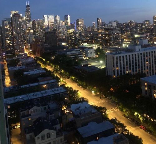 111 Maple St, Chicago IL 60610-5401 exterior