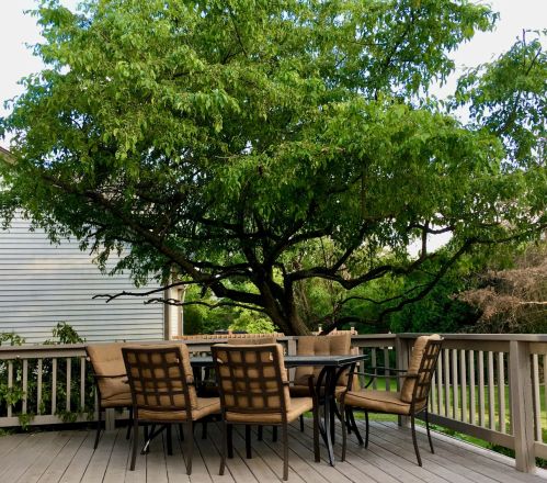 1628 Stockton Ln, Bull Valley IL 60014-2023 exterior