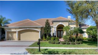 17233 Emerald Chase Dr, Tampa, FL 33647-2784