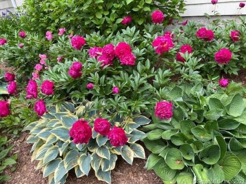 8 Cloverly Cir, Norwalk CT 06855-2130 exterior