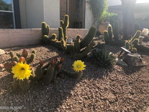 7431 Ln Cienega Dr, Tucson AZ 85712-1423 exterior