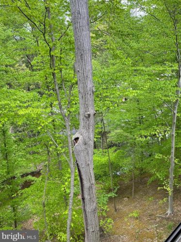 520 Lemon St, Media PA 19063-2337 exterior