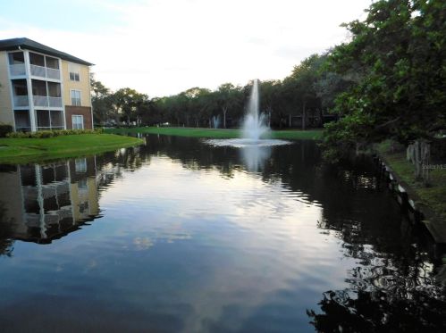 4115 Chatham Oak Ct, Tampa FL 33624-5131 exterior