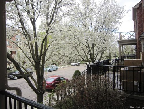 39467 Springwater Dr, Northville MI 48168-3962 exterior