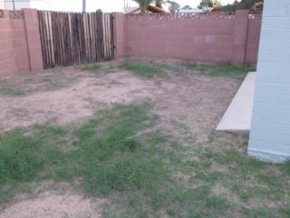 11511 20 Ave, Phoenix AZ  85015-1505 exterior