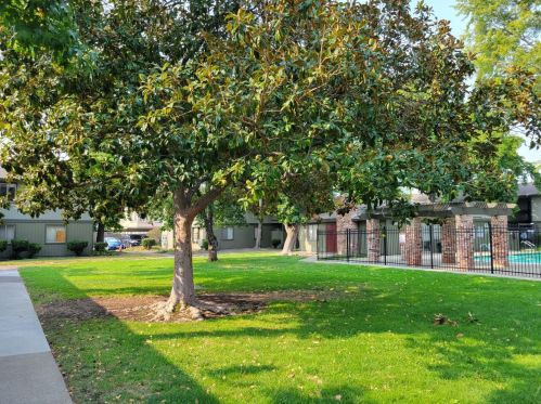 1133 Meadow Ln, Concord CA  94520-3766 exterior