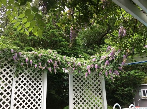 26 Emerson St, Norwalk CT 06855-1320 exterior