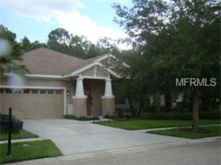 20038 Heritage Point Dr, Tampa FL  33647-3343 exterior