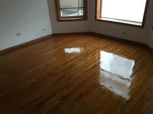 423 Homan Ave, Chicago IL 60655-3509 exterior