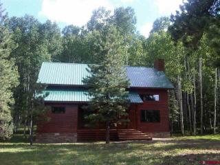 82 Canyon View Dr, Antonito, CO 81120-9042