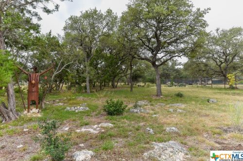 1044 Pegasus Dr, Spring Branch TX 78070 exterior