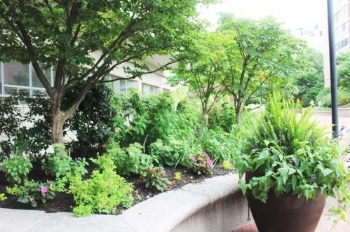 6 Whittier Pl, Boston MA  02114 exterior