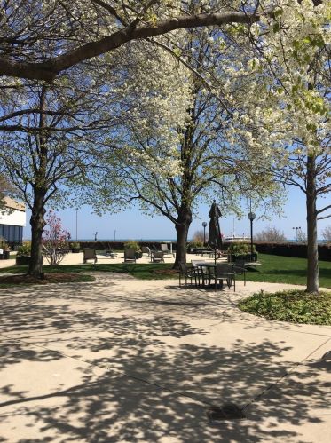 155 Harbor Dr, Chicago IL  60601-7315 exterior