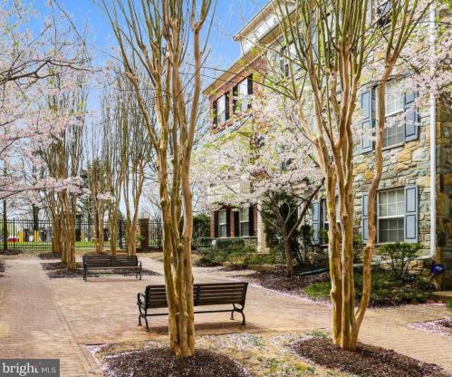 2116 Darcy Green Pl, Silver Spring MD  20910-1169 exterior