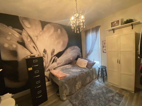 225 Jefferson St, Lowell MI 49331-1120 exterior