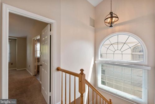 7047 Chesley Search Way, Alexandria VA 22315-4754 exterior