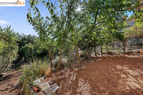 930 Shattuck Ave, Berkeley CA 94707-2401 exterior