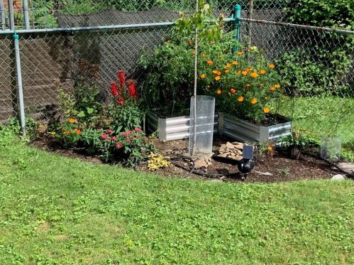 7205 Mcclure Ave, Pittsburgh PA  15218-2307 exterior