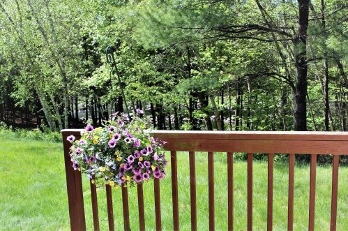 53 Modena Dr, Concord NH 03303-1553 exterior