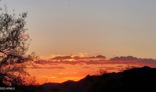 43630 20th St, Phoenix AZ 85006-2004 exterior