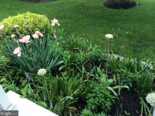 50 Steeplechase Cir, Chester PA 19014-1463 exterior