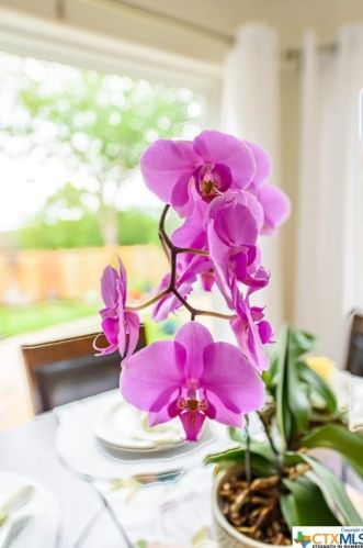 9515 Maverick Pt, San Antonio TX 78240-4049 exterior