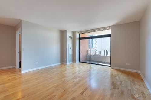 1160 Michigan Ave, Chicago, IL 60605-2776