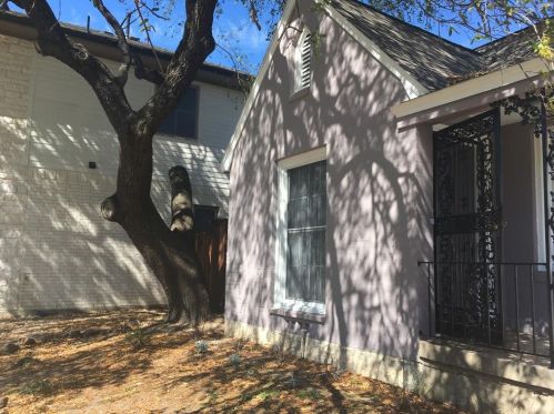 7231 Casa Loma Ave, Dallas TX  75214-4104 exterior