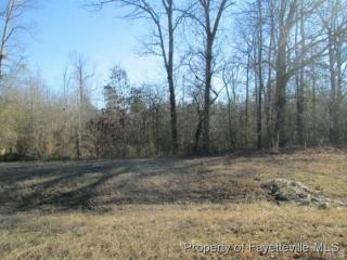 137 Maple Leaf Ct, Lillington, NC 27546-5681