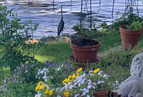 1219 Rutledge St, Madison WI  53703-3841 exterior