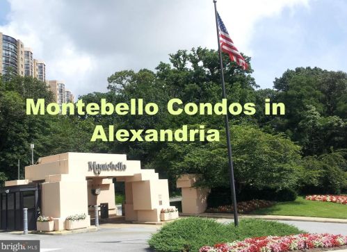 5902 Mount Eagle Dr, Alexandria VA 22303-2513 exterior